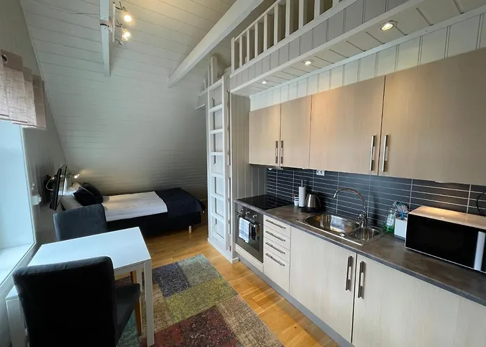 Nydelig studioleilighet med gratis parkering
